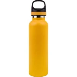 Embark Vacuum Insulated Water Bottle With Powder Coating (20 Oz.)