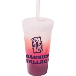 Silipint Silicone Straw Tumbler (22 Oz., Colors)